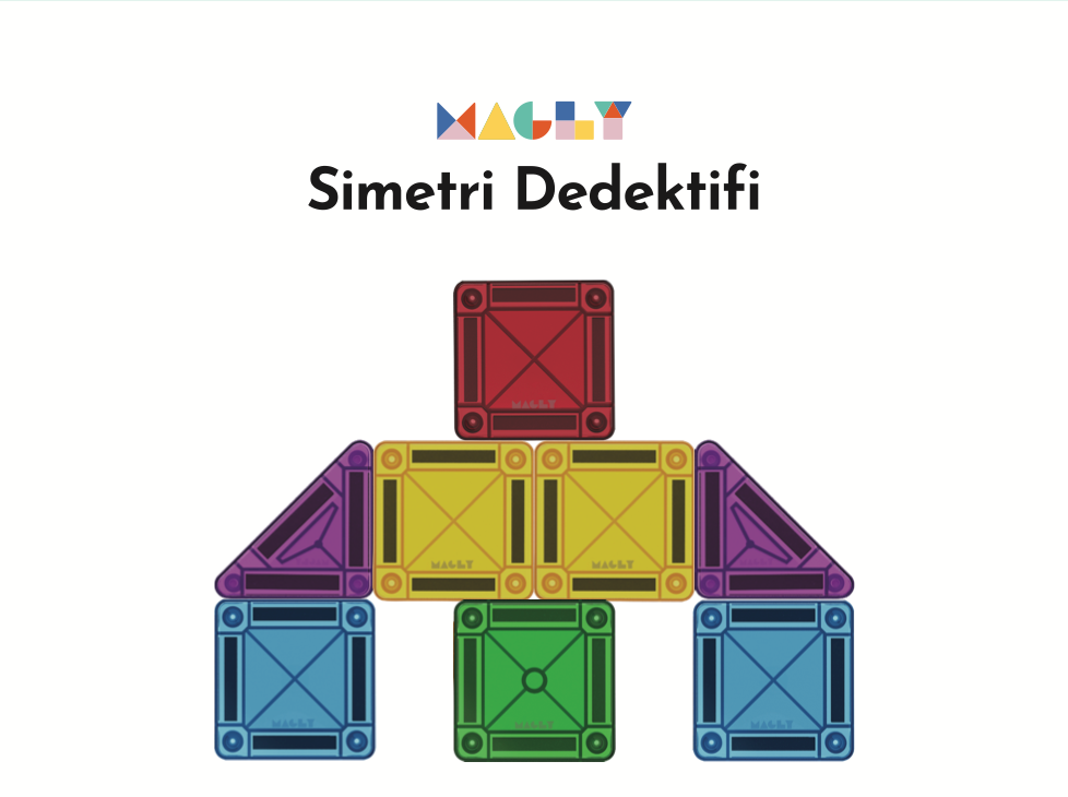 Simetri Dedektifi
